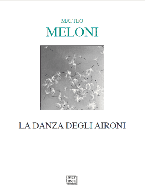 La danza degli aironi